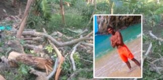 Aragua | Falleció bombero forestal tras caerle sobre su casa un árbol