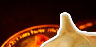 Kabosu, la perra del meme ‘Doge’ y de la criptomoneda Dogecoin, murió a los 18 años