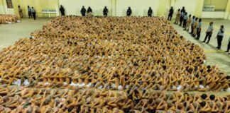 Trasladados 2000 presuntos pandilleros a la megacárcel de Bukele en El Salvador