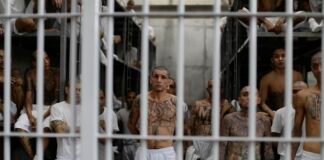 El Salvador: Justicia impone penas históricas a ocho pandilleros de la Mara Salvatrucha