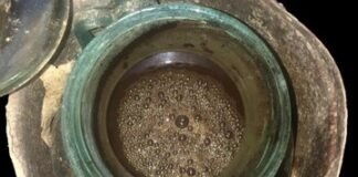 Descubren el vino más antiguo del mundo en una tumba romana