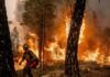Fuertes vientos avivan los incendios forestales activos en California