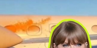 “Activistas climáticos” atacan de nuevo y vandalizan aviones de Taylor Swift