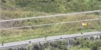 Cierran avenida de Los Teques para que los motorizados hagan «motopiruetas»