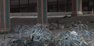 En Texas quitan alambrada en la frontera con México