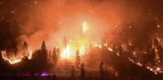 Canadá: Evacúan a nueve mil personas por incendio forestal en el noreste