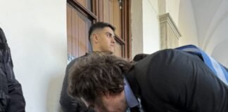 ARGENTINA | Diputados empezarán a tratar la Ley Conan, que prevé prisión y multas millonarias por maltrato animal