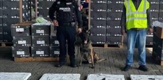 Ecuador incauta 157,9 kilogramos de cocaína con destino a Alemania