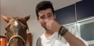 Joven ebrio se robó un caballo y lo metió en su casa