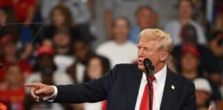 Trump anuncia que dará una «importante entrevista» a Elon Musk el lunes