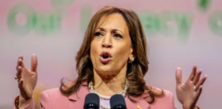 Kamala Harris dijo en entrevista que Trump es el culpable que ella no tomara medidas en la frontera sur durante tres años