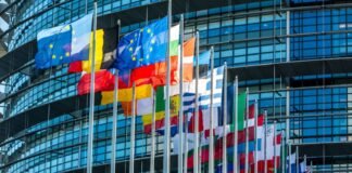 Un total de 22 países y la Unión Europea solicitaron de manera conjunta la “publicación inmediata de todas las actas originales” correspondientes a las elecciones del 28 de julio en Venezuela.