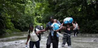 Panamá: Al menos 45 migrantes fallecieron en 2024 al cruzar la selva del Darién