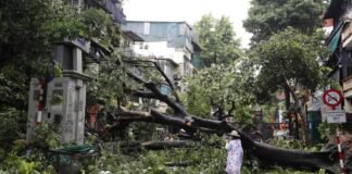 Al menos cuatro muertos en Vietnam por el tifón Yagi