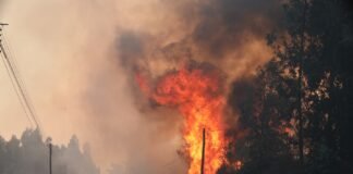 Incendios en Portugal ya dejan siete muertos