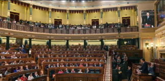 Diputada del PSOE se opone a reconocer a Edmundo González