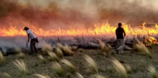 Incendios forestales en Paraguay afectan más de 70 mil hectáreas