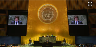 Milei contundente sobre la ONU