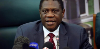 Vicepresidente de Sudáfrica se desmayó mientras daba un discurso