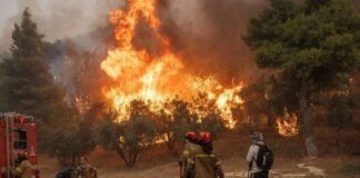 Grecia: Evacuan hoteles por gran incendio en la isla de Creta