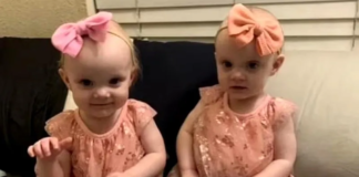 Olvidaron a gemelas en un carro y murieron por un golpe de calor