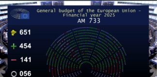 El Parlamento Europeo votó a favor de construir muros fronterizos físicos