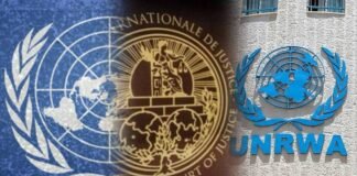 ¿ONU, CIJ Y UNRWA nominados al Premio Nobel de la Paz?