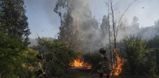 Chile ordena la evacuación inmediata en varias zonas por incendio forestal