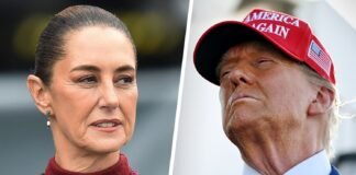 Entre roces, llamadas e interpretaciones Trump y Sheinbaum sobre migración y narcotráfico