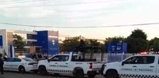 Abandonan cinco cuerpos frente a una universidad en México