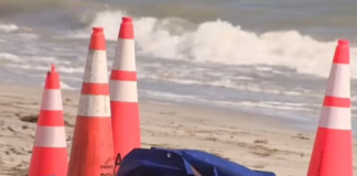 Encuentran una cabeza humana en una playa del sur de Florida
