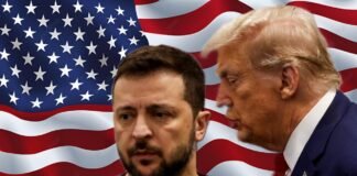 Zelensky se apresuró a felicitar a Trump antes que se anunciaran los resultados oficiales