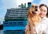 Linea de cruceros lanza el primer crucero Pet friendly para perros