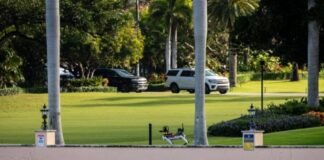 Refuerzan seguridad en la casa de Donald Trump; Perro robot custodia la zona