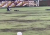 Un rayo cayó en un campo de fútbol peruano en pleno juego