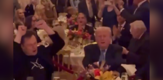 Donald Trump, Elon Musk y Sylvester Stallone celebran Acción de Gracias al ritmo de «Y.M.C.A»