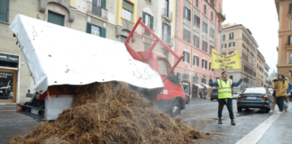Arrojan una tonelada de estiércol frente al Ministerio del Interior de Italia