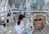 Escaparon 43 monos de un laboratorio en EE.UU. y lo comparan con ‘Jumanji’