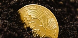 Bitcoin batió record aupado por el triunfo de Trump y superó los US$ 75.500