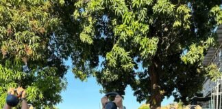 Miembros del CNP Aragua y de 180 Grados cumplieron metas: Amplia participación en Jornada FitNess para Periodistas