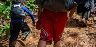 55 muertos y 180 niños abandonados suma la Selva del Darién este año