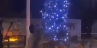 Indignación colectiva en redes sociales por destrozo de árbol navideño por parte de musulmanes
