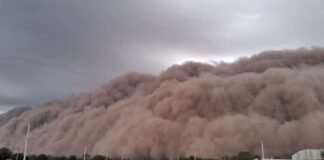 Tormenta de polvo causó estragos en Santiago del Estero en Argentina