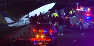 Un fallecido tras accidente aéreo en autopista de Nueva York