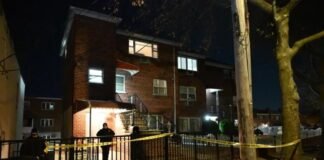 Por no pagar el alquiler a tiempo lo mataron a batazos en El Bronx, EE.UU.