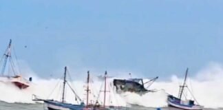 Maretazo arrastra embarcaciones pesqueras y genera alarma en el Perú