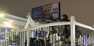 El ICE detiene a 25 miembros de la banda venezolana Tren de Aragua