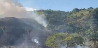 Reportan 11 incendios forestales en Barinas en lo que va de año