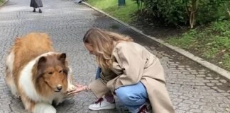 Hombre que se cree perro abrirá zoológico para que otros puedan «vivir la experiencia»