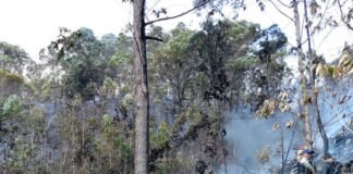 Accidente aéreo en El Hatillo habría dejado tres víctimas
